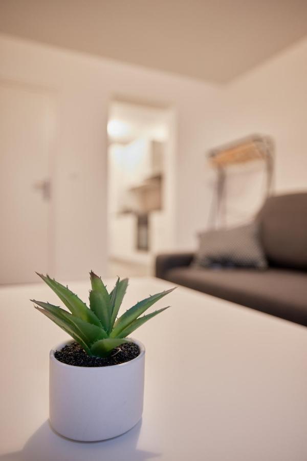T2Lescordeliers Apartment Pamiers Exterior photo